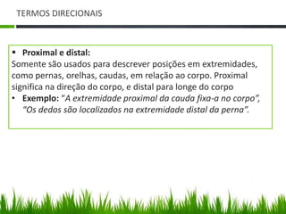 TERMOS DIRECIONAIS 
 Proximal e distal: 
Somente são usados para descrever posições em extremidades, 
como pernas, orelhas, caudas, em relação ao corpo. Proximal 
significa na direção do corpo, e distal para longe do corpo 
• Exemplo: “A extremidade proximal da cauda fixa-a no corpo”, 
“Os dedos são localizados na extremidade distal da perna”. 
 