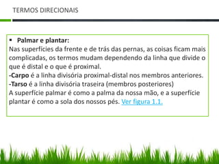 TERMOS DIRECIONAIS 
 Palmar e plantar: 
Nas superfícies da frente e de trás das pernas, as coisas ficam mais 
complicadas, os termos mudam dependendo da linha que divide o 
que é distal e o que é proximal. 
-Carpo é a linha divisória proximal-distal nos membros anteriores. 
-Tarso é a linha divisória traseira (membros posteriores) 
A superfície palmar é como a palma da nossa mão, e a superfície 
plantar é como a sola dos nossos pés. Ver figura 1.1. 
 
