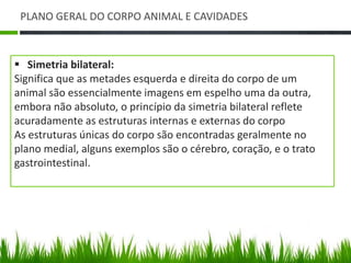 PLANO GERAL DO CORPO ANIMAL E CAVIDADES 
 Simetria bilateral: 
Significa que as metades esquerda e direita do corpo de um 
animal são essencialmente imagens em espelho uma da outra, 
embora não absoluto, o princípio da simetria bilateral reflete 
acuradamente as estruturas internas e externas do corpo 
As estruturas únicas do corpo são encontradas geralmente no 
plano medial, alguns exemplos são o cérebro, coração, e o trato 
gastrointestinal. 
 