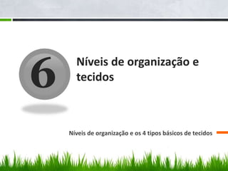 6 Níveis de organização e 
tecidos 
Níveis de organização e os 4 tipos básicos de tecidos 
 