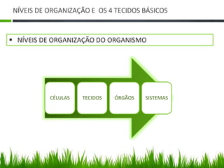NÍVEIS DE ORGANIZAÇÃO E OS 4 TECIDOS BÁSICOS 
 NÍVEIS DE ORGANIZAÇÃO DO ORGANISMO 
CÉLULAS TECIDOS ÓRGÃOS SISTEMAS 
 