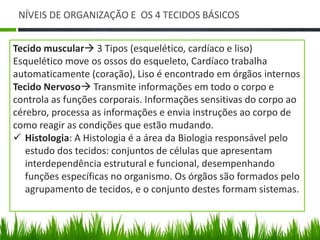 NÍVEIS DE ORGANIZAÇÃO E OS 4 TECIDOS BÁSICOS 
Tecido muscular 3 Tipos (esquelético, cardíaco e liso) 
Esquelético move os ossos do esqueleto, Cardíaco trabalha 
automaticamente (coração), Liso é encontrado em órgãos internos 
Tecido Nervoso Transmite informações em todo o corpo e 
controla as funções corporais. Informações sensitivas do corpo ao 
cérebro, processa as informações e envia instruções ao corpo de 
como reagir as condições que estão mudando. 
 Histologia: A Histologia é a área da Biologia responsável pelo 
estudo dos tecidos: conjuntos de células que apresentam 
interdependência estrutural e funcional, desempenhando 
funções específicas no organismo. Os órgãos são formados pelo 
agrupamento de tecidos, e o conjunto destes formam sistemas. 
 