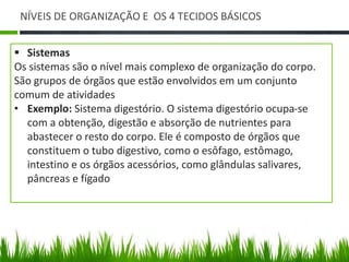 NÍVEIS DE ORGANIZAÇÃO E OS 4 TECIDOS BÁSICOS 
 Sistemas 
Os sistemas são o nível mais complexo de organização do corpo. 
São grupos de órgãos que estão envolvidos em um conjunto 
comum de atividades 
• Exemplo: Sistema digestório. O sistema digestório ocupa-se 
com a obtenção, digestão e absorção de nutrientes para 
abastecer o resto do corpo. Ele é composto de órgãos que 
constituem o tubo digestivo, como o esôfago, estômago, 
intestino e os órgãos acessórios, como glândulas salivares, 
pâncreas e fígado 
 