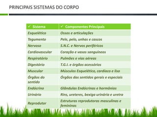 PRINCIPAIS SISTEMAS DO CORPO 
 Sistema  Componentes Principais 
Esquelético Ossos e articulações 
Tegumento Pele, pelo, unhas e cascos 
Nervoso S.N.C. e Nervos periféricos 
Cardiovascular Coração e vasos sanguíneos 
Respiratório Pulmões e vias aéreas 
Digestório T.G.I. e órgãos acessórios 
Muscular Músculos Esquelético, cardíaco e liso 
Órgãos do 
sentido 
Órgãos dos sentidos gerais e especiais 
Endócrino Glândulas Endócrinas e hormônios 
Urinário Rins, ureteres, bexiga urinária e uretra 
Reprodutor 
Estruturas reprodutoras masculinas e 
femininas 
 