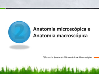 Anatomia microscópica e 
Anatomia macroscópica 
Diferenciar Anatomia Microscópica e Macroscópica 
 