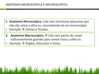 ANATOMIA MICROSCÓPICA E MACROSCÓPICA 
1. Anatomia Microscópica: Lida com estruturas pequenas que 
não são vistas a olho nu, necessitando de um microscópio 
• Exemplo  Células e Tecidos 
2. Anatomia Macroscópica  Lida com partes do corpo 
suficientemente grandes para serem vistas a olho nu 
• Exemplo  Órgãos, Músculos e Ossos 
 