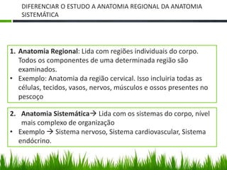 DIFERENCIAR O ESTUDO A ANATOMIA REGIONAL DA ANATOMIA 
SISTEMÁTICA 
1. Anatomia Regional: Lida com regiões individuais do corpo. 
Todos os componentes de uma determinada região são 
examinados. 
• Exemplo: Anatomia da região cervical. Isso incluiria todas as 
células, tecidos, vasos, nervos, músculos e ossos presentes no 
pescoço 
2. Anatomia Sistemática Lida com os sistemas do corpo, nível 
mais complexo de organização 
• Exemplo  Sistema nervoso, Sistema cardiovascular, Sistema 
endócrino. 
 