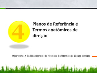 4 Planos de Referência e 
Termos anatômicos de 
direção 
Descrever os 4 planos anatômicos de referência e anatômicos de posição e direção 
 