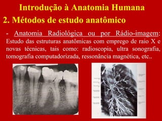 Introdução à Anatomia Humana
2. Métodos de estudo anatômico
- Anatomia Radiológica ou por Rádio-imagem:
Estudo das estruturas anatômicas com emprego de raio X e
novas técnicas, tais como: radioscopia, ultra sonografia,
tomografia computadorizada, ressonância magnética, etc..
 