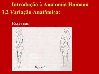 Externas
Introdução à Anatomia Humana
3.2 Variação Anatômica:
 