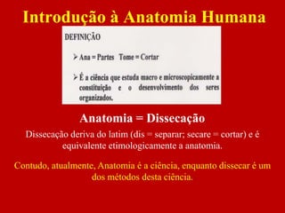 Introdução à Anatomia Humana
Anatomia = Dissecação
Dissecação deriva do latim (dis = separar; secare = cortar) e é
equivalente etimologicamente a anatomia.
Contudo, atualmente, Anatomia é a ciência, enquanto dissecar é um
dos métodos desta ciência.
 