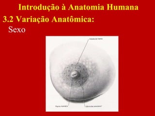 Sexo
Introdução à Anatomia Humana
3.2 Variação Anatômica:
 