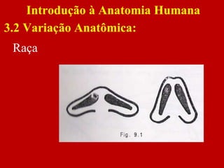 Raça
Introdução à Anatomia Humana
3.2 Variação Anatômica:
 