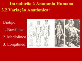Biótipo:
1. Brevilíneo
2. Mediolíneo
3. Longilíneo
Introdução à Anatomia Humana
3.2 Variação Anatômica:
 