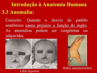 Introdução à Anatomia Humana
3.3 Anomalia:
Conceito: Quando o desvio de padrão
anatômico causa prejuízo a função do órgão.
As anomalias podem ser congênitas ou
adquiridas.
Lábio leporino
Dedos supranumerário
 