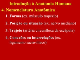 1. Forma (ex. músculo trapézio)
2. Posição ou situação (ex. nervo mediano)
3. Trajeto (artéria circunflexa da escápula)
4. Conexões ou interrelações (ex.
ligamento sacro-ilíaco)
Introdução à Anatomia Humana
4. Nomenclatura Anatômica
 