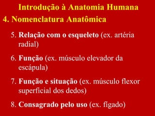 Introdução à Anatomia Humana
4. Nomenclatura Anatômica
5. Relação com o esqueleto (ex. artéria
radial)
6. Função (ex. músculo elevador da
escápula)
7. Função e situação (ex. músculo flexor
superficial dos dedos)
8. Consagrado pelo uso (ex. fígado)
 