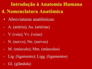 • Abreviaturas anatômicas:
- A. (artéria); Aa. (artérias)
- V. (veia); Vv. (veias)
- N. (nervo); Nn. (nervos)
- M. (músculo); Mm. (músculos)
- Lig. (ligamento); Ligg. (ligamentos)
- Gl. (glândula)
Introdução à Anatomia Humana
4. Nomenclatura Anatômica
 
