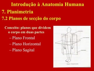 Conceito: planos que dividem
o corpo em duas partes
– Plano Frontal
– Plano Horizontal
– Plano Sagital
Introdução à Anatomia Humana
7. Planimetria
7.2 Planos de secção do corpo
 