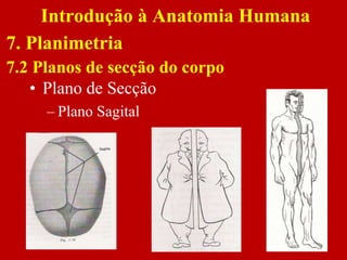 • Plano de Secção
– Plano Sagital
Introdução à Anatomia Humana
7. Planimetria
7.2 Planos de secção do corpo
 