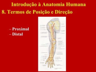 – Proximal
– Distal
Introdução à Anatomia Humana
8. Termos de Posição e Direção
 