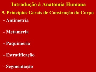 Introdução à Anatomia Humana
9. Princípios Gerais de Construção do Corpo
- Antimetria
- Metameria
- Paquimeria
- Estratificação
- Segmentação
 