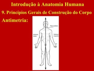 Antimetria:
Introdução à Anatomia Humana
9. Princípios Gerais de Construção do Corpo
 
