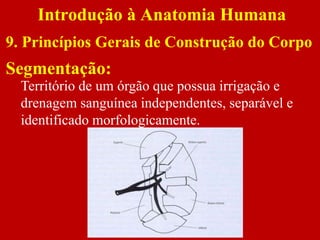 Segmentação:
Introdução à Anatomia Humana
9. Princípios Gerais de Construção do Corpo
Território de um órgão que possua irrigação e
drenagem sanguínea independentes, separável e
identificado morfologicamente.
 
