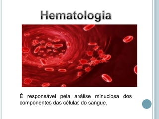 É responsável pela análise minuciosa dos
componentes das células do sangue.
 