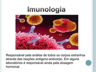 Responsável pela análise de todos os corpos estranhos
através das reações antígeno-anticorpo. Em alguns
laboratórios é responsável ainda pela dosagem
hormonal.
 