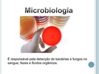 É responsável pela detecção de bactérias e fungos no
sangue, fezes e fluídos orgânicos.
 