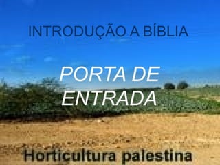 INTRODUÇÃO A BÍBLIA PORTA DE ENTRADA 