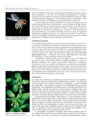 18 / GEOFFREY M. COOPER • ROBERT E. HAUSMAN

                                           cerca de 14.000 genes. Além disso, a Drosophila pode ser facilmente mantida e reprodu-
                                           zida em laboratório, e o seu curto ciclo reprodutivo (aproximadamente 2 semanas) a
                                           transformou em um organismo extremamente útil para experimentos genéticos. Muitos
                                           conceitos fundamentais da genética – como a relação entre genes e cromossomos – foram
                                           derivados de estudos com Drosophila no início do século XX (ver Capítulo 3).
                                                 Extensas análises genéticas da Drosophila têm revelado muitos genes que con-
                                           trolam o desenvolvimento e a diferenciação, e os atuais métodos de biologia molecu-
                                           lar têm permitido que as funções desses genes sejam analisadas em detalhes. Conse-
                                           qüentemente, os estudos em Drosophila têm levado a surpreendentes avanços na
                                           compreensão dos mecanismos moleculares que controlam o desenvolvimento ani-
                                           mal, particularmente com respeito à formação do plano do corpo de organismos
                                           multicelulares complexos. Como com o C. elegans, existem genes e mecanismos si-
                                           milares em vertebrados, validando o uso da Drosophila como um importante modelo
Figura 1.18 Drosophila melanogaster        experimental na biologia do desenvolvimento contemporânea.
(Darwin Dale/Photo Researchers, Inc.)
                                           Arabidopsis thaliana
                                           O estudo da biologia molecular e do desenvolvimento em plantas é uma área ativa e
                                           em expansão de considerável importância econômica, bem como de interesse inte-
                                           lectual. Uma vez que os genomas de plantas apresentam uma complexidade compa-
                                           rável com a dos genomas dos animais (ver Tabela 1.2), um modelo ideal para estudos
                                           com plantas deveria ser um organismo relativamente simples com algumas das carac-
                                           terísticas vantajosas do C. elegans e da Drosophila. A pequena planta com flor Arabi-
                                           dopsis thaliana (Figura 1.19) atende a esse critério, sendo amplamente usada como
                                           um modelo para o estudo da biologia molecular das plantas.
                                                  A Arabidopsis é notável pelo seu genoma de somente cerca de 120 milhões de
                                           pares de bases, que contém aproximadamente 15.000 genes diferentes – uma com-
                                           plexidade semelhante à do C. elegans e da Drosophila. Além disso, a Arabidopsis é
                                           relativamente fácil de ser cultivada em laboratório, e métodos para manipulações
                                           genéticas moleculares dessa planta já foram desenvolvidos. Esses estudos têm permi-
                                           tido a identificação dos genes envolvidos em vários aspectos do desenvolvimento em
                                           plantas, como o desenvolvimento das flores. A análise desses genes aponta para mui-
                                           tas similaridades, mas também diferenças notáveis, entre os mecanismos que contro-
                                           lam o desenvolvimento das plantas e dos animais.

                                           Vertebrados
                                           Os animais mais complexos são os vertebrados, incluindo o homem e outros mamíferos.
                                           O genoma humano tem aproximadamente 3 bilhões de pares de bases – cerca de 30 vezes
                                           maior que o genoma do C. elegans, da Drosophila e da Arabidopsis – e contém 30-40.000
                                           genes. Além disso, o corpo humano é composto de mais de 200 diferentes tipos de células
                                           especializadas. Essa complexidade torna difícil estudar os vertebrados pela perspectiva da
                                           biologia celular e molecular, mas muito do interesse das ciências biológicas origina-se do
                                           desejo da compreensão do organismo humano. Além disso, o entendimento de muitas
                                           questões de importância prática imediata (por exemplo, na medicina) deve ser baseado
                                           diretamente em estudos sobre tipos celulares humanos (ou proximamente relacionados).
                                                 Um importante meio de estudar células humanas e de outros mamíferos é cultivar
                                           células isoladas, de forma que possam ser manipuladas em condições laboratoriais contro-
                                           ladas. O uso de cultura celular tem permitido o estudo de muitos aspectos da biologia
                                           celular de mamíferos, incluindo experimentos que têm elucidado os mecanismos da re-
                                           plicação do DNA, da expressão gênica, da síntese e do processamento protéico e da
                                           divisão celular. Além disso, a habilidade de cultivar células em meios quimicamente defi-
                                           nidos tem permitido o estudo dos mecanismos de sinalização que controlam o cresci-
                                           mento e a diferenciação normal dentro do organismo inteiro.
                                                 As propriedades especializadas de algumas células altamente diferenciadas têm
Figura 1.19 Arabidopsis thaliana           feito delas modelos importantes para estudos de aspectos específicos da biologia ce-
(Jeremy Burgess/Photo Researchers, Inc.)   lular. Células musculares, por exemplo, são altamente especializadas para suportar
 