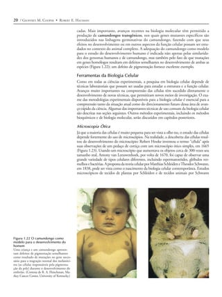 20 / GEOFFREY M. COOPER • ROBERT E. HAUSMAN

                                               cadas. Mais importante, avanços recentes na biologia molecular têm permitido a
                                               produção de camundongos transgênicos, nos quais genes mutantes específicos são
                                               introduzidos nas linhagens germinativas do camundongo, fazendo com que seus
                                               efeitos no desenvolvimento ou em outros aspectos da função celular possam ser estu-
                                               dados no contexto do animal completo. A adequação do camundongo como modelo
                                               para o estudo do desenvolvimento humano é indicada não apenas pelas similarida-
                                               des dos genomas humanos e de camundongo, mas também pelo fato de que mutações
                                               em genes homólogos resultam em defeitos semelhantes no desenvolvimento de ambas as
                                               espécies (Figura 1.22); um defeito de pigmentação fornece excelente exemplo.

                                               Ferramentas da Biologia Celular
                                               Como em todas as ciências experimentais, a pesquisa em biologia celular depende de
                                               técnicas laboratoriais que possam ser usadas para estudar a estrutura e a função celular.
                                               Avanços muito importantes na compreensão das células têm sucedido diretamente o
                                               desenvolvimento de novas técnicas, que permitiram novos meios de investigação. O exa-
                                               me das metodologias experimentais disponíveis para a biologia celular é essencial para a
                                               compreensão tanto da situação atual como do direcionamento futuro dessa área de avan-
                                               ço rápido da ciência. Algumas das importantes técnicas de uso comum da biologia celular
                                               são descritas nas seções seguintes. Outros métodos experimentais, incluindo os métodos
                                               bioquímicos e de biologia molecular, serão discutidos em capítulos posteriores.

                                               Microscopia Ótica
                                               Já que a maioria das células é muito pequena para ser vista a olho nu, o estudo das células
                                               depende fortemente do uso de microscópios. Na realidade, a descoberta das células resul-
                                               tou do desenvolvimento do microscópio: Robert Hooke inventou o termo “célula” após
                                               suas observações de um pedaço de cortiça com um microscópio ótico simples, em 1665
                                               (Figura 1.23). Usando um microscópio que aumentava os objetos cerca de 300 vezes seu
                                               tamanho real, Antony van Leeuwenhoek, por volta de 1670, foi capaz de observar uma
                                               grande variedade de tipos celulares diferentes, incluindo espermatozóides, glóbulos ver-
                                               melhos e bactérias. A proposta da teoria celular por Matthias Schleiden e Theodor Schwann,
                                               em 1838, pode ser vista como o nascimento da biologia celular contemporânea. Estudos
                                               microscópicos de tecidos de plantas por Schleiden e de tecidos animais por Schwann




Figura 1.22 O camundongo como
modelo para o desenvolvimento do
homem
Uma criança e um camundongo apresen-
tam defeitos de pigmentação semelhantes
como resultado de mutações no gene neces-
sário para a migração normal dos melanóci-
tos (as células responsáveis pela pigmenta-
ção da pele) durante o desenvolvimento do
embrião. (Cortesia de R. A. Fleischman, Ma-
rkey Cancer Center, University of Kentucky.)
 