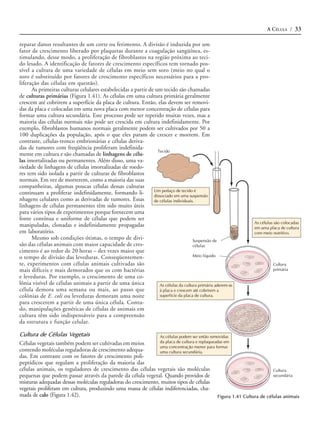 A CÉLULA / 33

reparar danos resultantes de um corte ou ferimento. A divisão é induzida por um
fator de crescimento liberado por plaquetas durante a coagulação sangüínea, es-
timulando, desse modo, a proliferação de fibroblastos na região próxima ao teci-
do lesado. A identificação de fatores de crescimento específicos tem tornado pos-
sível a cultura de uma variedade de células em meio sem soro (meio no qual o
soro é substituído por fatores de crescimento específicos necessários para a pro-
liferação das células em questão).
      As primeiras culturas celulares estabelecidas a partir de um tecido são chamadas
de culturas primárias (Figura 1.41). As células em uma cultura primária geralmente
crescem até cobrirem a superfície da placa de cultura. Então, elas devem ser removi-
das da placa e colocadas em uma nova placa com menor concentração de células para
formar uma cultura secundária. Este processo pode ser repetido muitas vezes, mas a
maioria das células normais não pode ser crescida em cultura indefinidamente. Por
exemplo, fibroblastos humanos normais geralmente podem ser cultivados por 50 a
100 duplicações da população, após o que eles param de crescer e morrem. Em
contraste, células-tronco embrionárias e células deriva-
das de tumores com freqüência proliferam indefinida-
                                                                 Tecido
mente em cultura e são chamadas de linhagens de célu-
las imortalizadas ou permanentes. Além disso, uma va-
riedade de linhagens de células imortalizadas de roedo-
res tem sido isolada a partir de culturas de fibroblastos
normais. Em vez de morrerem, como a maioria das suas
companheiras, algumas poucas células dessas culturas
                                                               Um pedaço de tecido é
continuam a proliferar indefinidamente, formando li-           dissociado em uma suspensão
nhagens celulares como as derivadas de tumores. Essas          de células individuais.
linhagens de células permanentes têm sido muito úteis
para vários tipos de experimentos porque fornecem uma
fonte contínua e uniforme de células que podem ser
                                                                                                              As células são colocadas
manipuladas, clonadas e indefinidamente propagadas                                                            em uma placa de cultura
em laboratório.                                                                                               com meio nutritivo.
      Mesmo sob condições ótimas, o tempo de divi-                                   Suspensão de
são das células animais com maior capacidade de cres-                                células
cimento é ao redor de 20 horas – dez vezes maior que
o tempo de divisão das leveduras. Conseqüentemen-                                    Meio líquido
te, experimentos com células animais cultivadas são                                                                     Cultura
mais difíceis e mais demorados que os com bactérias                                                                     primária
e leveduras. Por exemplo, o crescimento de uma co-
lônia visível de células animais a partir de uma única            As células da cultura primária aderem-se
célula demora uma semana ou mais, ao passo que                    à placa e crescem até cobrirem a
colônias de E. coli ou leveduras demoram uma noite                superfície da placa de cultura.
para crescerem a partir de uma única célula. Contu-
do, manipulações genéticas de células de animais em
cultura têm sido indispensáveis para a compreensão
da estrutura e função celular.

Cultura de Células Vegetais                                    As células podem ser então removidas
Células vegetais também podem ser cultivadas em meios          da placa de cultura e replaqueadas em
                                                               uma concentração menor para formar
contendo moléculas reguladoras de crescimento adequa-          uma cultura secundária.
das. Em contraste com os fatores de crescimento poli-
peptídicos que regulam a proliferação da maioria das
células animais, os reguladores de crescimento das células vegetais são moléculas                                       Cultura
pequenas que podem passar através da parede da célula vegetal. Quando providos de                                       secundária
misturas adequadas dessas moléculas reguladoras do crescimento, muitos tipos de células
vegetais proliferam em cultura, produzindo uma massa de células indiferenciadas, cha-
mada de calo (Figura 1.42).                                                                   Figura 1.41 Cultura de células animais
 