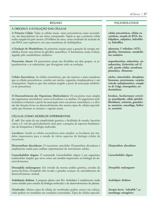 A CÉLULA / 37


                                    RESUMO                                                    PALAVRAS-CHAVE

A ORIGEM E A EVOLUÇÃO DAS CÉLULAS
A Primeira Célula: Todas as células atuais, tanto procarióticas como eucarióti-         células procarióticas, células eu-
cas, são descendentes de um único antepassado. Supõe-se que a primeira célula           carióticas, mundo de RNA, fos-
tenha surgido há pelo menos 3,8 bilhões de anos, como resultado da inclusão de          folipídeos, anfipática, hidrofóbi-
um RNA auto-replicativo em uma membrana de fosfolipídeos.                               ca, hidrofílica

A Evolução do Metabolismo: As primeiras reações para a geração de energia me-           adenosina 5’-trifosfato (ATP),
tabólica foram uma forma de glicólise anaeróbica. A fotossíntese então evoluiu,         glicólise, fotossíntese, metabolis-
seguida pelo metabolismo oxidativo.                                                     mo oxidativo

Procariotos Atuais: Os procariotos atuais são divididos em dois grupos, as ar-          arqueobactérias, eubactérias, cia-
queobactérias e as eubactérias, que divergiram cedo na evolução.                        nobactérias, Escherichia coli (E.
                                                                                        coli), parede celular, membrana
                                                                                        plasmática, ribossomo

Células Eucarióticas: As células eucarióticas, que são maiores e mais complexas         núcleo, mitocôndria, cloroplasto,
que as células procarióticas, contêm um núcleo, organelas citoplasmáticas e um          lisossomo, peroxissomo, vacúolo,
citoesqueleto. Supõe-se que elas tenham surgido a partir da associação simbióti-        retículo endoplasmático, comple-
ca de procariotos.                                                                      xo de Golgi, citoesqueleto, en-
                                                                                        dossimbiose

O Desenvolvimento dos Organismos Multicelulares: Os eucariotos mais simples             levedura, Saccharomyces cerevisi-
são organismos unicelulares, como as leveduras e as amebas. Os organismos mul-          ae, pseudópodo, célula epitelial,
ticelulares evoluíram a partir da associação entre eucariotos unicelulares, e a divi-   fibroblasto, eritrócito, granulóci-
são das funções levou ao desenvolvimento dos muitos tipos de células especiali-         to, monócito, macrófago, linfóci-
zadas que formam os animais e vegetais atuais.                                          to, neurônio

CÉLULAS COMO MODELOS EXPERIMENTAIS
E. coli : Em razão da sua simplicidade genética e facilidade de estudo, bactérias
como a E. coli são particularmente úteis para a pesquisa de aspectos fundamen-
tais da bioquímica e biologia molecular.

Leveduras : Sendo as células eucarióticas mais simples, as leveduras são mo-
delos importantes para o estudo de vários aspectos da biologia celular de
eucariotos.

Dictyostelium discoideum: O eucarionte unicelular Dictyostelium discoideum é            Dictyostelium discoideum
amplamente usado para análises experimentais do movimento celular.

Caenorhabditis elegans: O nematóide Caenorhabditis elegans é um organismo               Caenorhabditis elegans
multicelular simples que serve como um modelo importante na biologia do de-
senvolvimento.

Drosophila melanogaster: Em virtude da extensa análise genética, estudos da             Drosophila melanogaster
mosca-da-fruta Drosophila têm levado a grandes avanços no entendimento do
desenvolvimento animal.

Arabidopsis thaliana: A pequena planta com flor Arabidopsis é amplamente usada          Arabidopsis thaliana
como modelo para estudos da biologia molecular e do desenvolvimento de plantas.

Vertebrados : Muitos tipos de células de vertebrados podem crescer em cultura,          Xenopus laevis, “zebrafish”, ca-
onde podem ser estudados em condições controladas. Tipos de células especiali-          mundongo transgênico
 