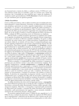 A CÉLULA / 9

ção funcional entre o interior da célula e o ambiente externo. O DNA da E. coli é
uma molécula circular única no nucleóide, o qual, em contraste com o núcleo dos
eucariotos, não é circundado por uma membrana que o separa do citoplasma. O
citoplasma contém aproximadamente 30.000 ribossomos (o local da síntese protéi-
ca), que contribuem para sua aparência granular.

Células Eucarióticas
Como as células procarióticas, todas as células eucarióticas são circundadas pela mem-
brana plasmática e contêm ribossomos. Entretanto, as células eucarióticas são muito
mais complexas e apresentam um núcleo, organelas citoplasmáticas e um citoesque-
leto (Figura 1.7). A maior e mais proeminente organela das células eucarióticas é o
núcleo, com um diâmetro de aproximadamente 5 µm. O núcleo contém a informa-
ção genética da célula, que nos eucariotos é organizada como uma molécula de DNA
linear, em vez de circular. O núcleo é o local da replicação do DNA e da síntese do
RNA; a tradução do RNA em proteínas ocorre em ribossomos no citoplasma.
      Além do núcleo, as células eucarióticas apresentam no citoplasma uma varieda-
de de organelas circundadas por membranas. Essas organelas formam compartimen-
tos nos quais se localizam as diferentes atividades metabólicas. Em geral, as células
eucarióticas são muito maiores que as células procarióticas, freqüentemente tendo
um volume celular de, no mínimo, mil vezes maior. A compartimentalização causa-
da pelas organelas citoplasmáticas é que permite o funcionamento eficiente das célu-
las eucarióticas. Duas dessas organelas, as mitocôndrias e os cloroplastos, exercem
papel fundamental no metabolismo energético. As mitocôndrias, que são encontra-
das em quase todas as células eucarióticas, são os locais do metabolismo oxidativo e
são responsáveis pela geração da maior parte do ATP derivado da quebra de molécu-
las orgânicas. Os cloroplastos são os locais da fotossíntese e são encontrados somente
nas células de plantas e algas verdes. Os lisossomos e os peroxissomos também for-
necem compartimentos metabólicos especializados para a digestão de macromolécu-
las e várias reações oxidativas, respectivamente. Além disso, a maioria das células
vegetais contém grandes vacúolos que executam uma variedade de funções, incluin-
do a digestão de macromoléculas e a estocagem de produtos de excreção e nutrientes.
      Devido ao tamanho e à complexidade das células eucarióticas, o transporte de
proteínas para seus destinos corretos é uma tarefa extremamente complexa. Duas
organelas citoplasmáticas, o retículo endoplasmático e o complexo de Golgi, são
dedicadas especificamente para a organização e o transporte de proteínas destinadas
à secreção, à incorporação à membrana plasmática e à incorporação aos lisossomos.
O retículo endoplasmático é uma extensa rede de membranas intracelulares, esten-
dendo-se a partir da membrana nuclear por todo o citoplasma. Ele funciona não
somente no processamento e transporte de proteínas, mas também na síntese de
lipídeos. As proteínas são transportadas em pequenas vesículas a partir do retículo
endoplasmático para o complexo de Golgi, onde são processadas e organizadas para
o transporte ao destino final. Além do papel no transporte de proteínas, o complexo
de Golgi serve como local da síntese de lipídeos e (em células vegetais) como local de
síntese de alguns polissacarídeos que formam a parede celular.
      As células eucarióticas têm outro nível de organização interna: o citoesqueleto,
uma rede de filamentos protéicos que se estende por todo o citoplasma. O citoesque-
leto fornece a estrutura da célula, determinando o formato celular e gerando a orga-
nização do citoplasma. Além disso, o citoesqueleto é responsável pelos movimentos
da célula inteira (por exemplo, a contração das células musculares), pelo transporte
intracelular e pelo posicionamento das organelas e outras estruturas, incluindo o
movimento dos cromossomos durante a divisão celular.
      Os eucariotos surgiram há pelo menos 2,7 bilhões de anos, seguindo em 1 a 1,5
bilhão de anos a evolução dos procariotos. Estudos das seqüências de DNA indicam
que as arqueobactérias e eubactérias são tão diferentes entre si quanto são dos euca-
riotos atuais. Portanto, um evento muito precoce na evolução parece ter sido a diver-
 