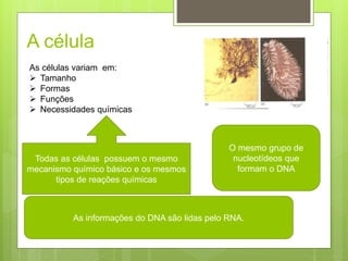 A célula
As células variam em:
 Tamanho
 Formas
 Funções
 Necessidades químicas
Todas as células possuem o mesmo
mecanismo químico básico e os mesmos
tipos de reações químicas
O mesmo grupo de
nucleotídeos que
formam o DNA
As informações do DNA são lidas pelo RNA.
 