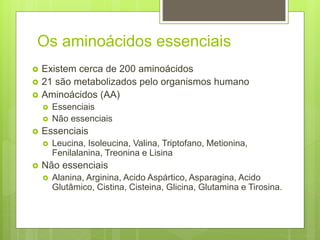 Os aminoácidos essenciais
 Existem cerca de 200 aminoácidos
 21 são metabolizados pelo organismos humano
 Aminoácidos (AA)
 Essenciais
 Não essenciais
 Essenciais
 Leucina, Isoleucina, Valina, Triptofano, Metionina,
Fenilalanina, Treonina e Lisina
 Não essenciais
 Alanina, Arginina, Acido Aspártico, Asparagina, Acido
Glutâmico, Cistina, Cisteina, Glicina, Glutamina e Tirosina.
 
