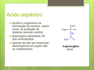 Acido aspártico
 Auxilia o organismo na
eliminação da amônia, assim
como na proteção do
sistema nervoso central
 Asparagina apresenta 3%
dos aminoácidos
 Apesar de não ser essencial,
desempenha um papel vital
no metabolismo
 