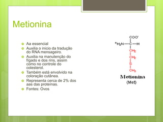 Metionina
 Aa essencial
 Auxilia o inicio da tradução
do RNA mensageiro.
 Auxilia na manutenção do
fígado e dos rins, assim
como no controle do
colesterol.
 Também está envolvido na
coloração cutânea.
 Representa cerca de 2% dos
aas das proteínas.
 Fontes: Ovos
 