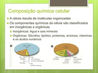 Composição química celular
 A célula resulta de moléculas organizadas
 Os componentes químicos da célula são classificados
em inorgânicas e orgânicas
 Inorgânicas: Agua e sais minerais
 Orgânicas: Glicídios, lipídios, proteínas, enzimas, vitaminas
e os ácidos nucleicos
 