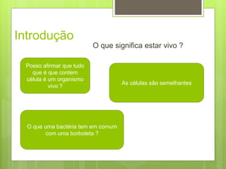 Introdução
O que significa estar vivo ?
Posso afirmar que tudo
que é que contem
célula é um organismo
vivo ?
As células são semelhantes
O que uma bactéria tem em comum
com uma borboleta ?
 