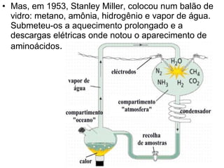 Mas, em 1953, Stanley Miller, colocou num balão de vidro: metano, amônia, hidrogênio e vapor de água. Submeteu-os a aquecimento prolongado e a descargas elétricas onde notou o aparecimento de aminoácidos . 