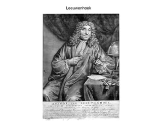 Leeuwenhoek 