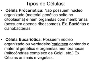 Tipos de Células: Célula Prócariotica : Não possuem núcleo organizado (material genético solto no citoplasma) e nem organelas com membranas (possuem apenas ribossomos). Ex. Bactérias e cianobactérias Célula Eucariótica : Possuem núcleo organizado ou verdadeiro( carioteca  contendo o material genético e organelas membranosas (mitocôndrias complexo de Golgi, etc.) Ex. Células animais e vegetais. 
