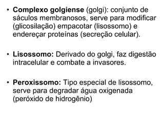 Complexo golgiense  (golgi): conjunto de sáculos membranosos, serve para modificar (glicosilação) empacotar (lisossomo) e endereçar proteínas (secreção celular). Lisossomo:  Derivado do golgi, faz digestão intracelular e combate a invasores. Peroxissomo:  Tipo especial de lisossomo, serve para degradar água oxigenada (peróxido de hidrogênio) 