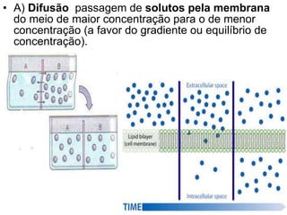 A)  Difusão   passagem de  solutos pela membrana  do meio de maior concentração para o de menor concentração (a favor do gradiente ou equilíbrio de concentração). 