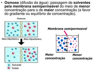 Osmose  (difusão da água) :passagem de  solventes pela membrana semipermeável  do meio de  menor  concentração para o de  maior  concentração (a favor do gradiente ou equilíbrio de concentração). 