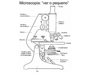 Microscopia: “ver o pequeno”
 